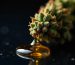 freepik__macro-photograph-of-cannabis-resin-dripping-from-a__10772